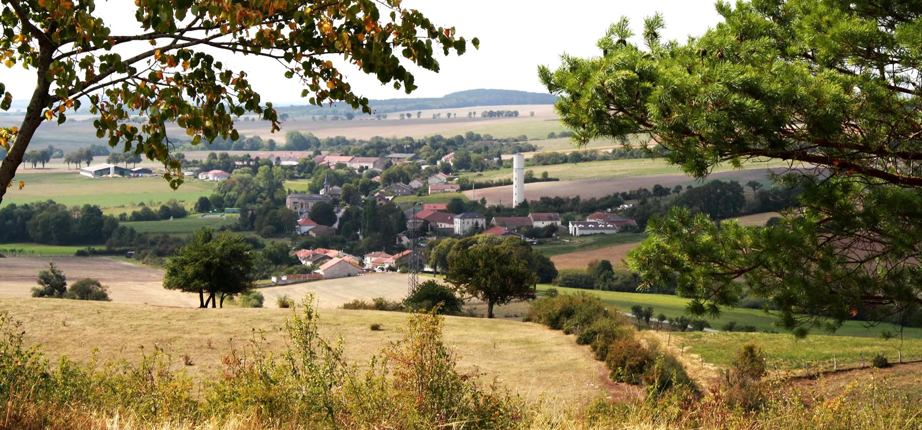 Campagne SCoTAM