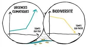 Biodiversité