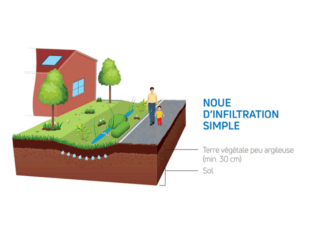 Noue d'infiltration