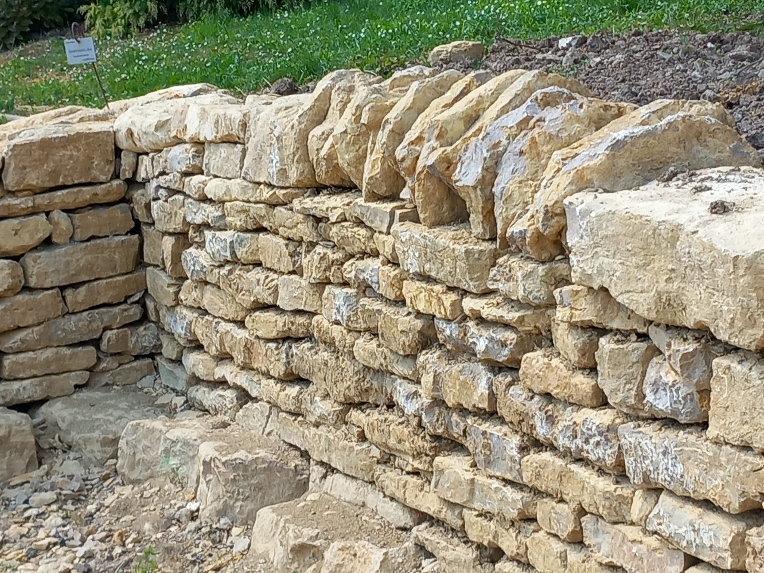 Murs en pierre sèche : une formation professionnelle pour préserver un savoir-faire patrimonial