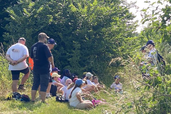 Gorze_droitsCeciles (21)