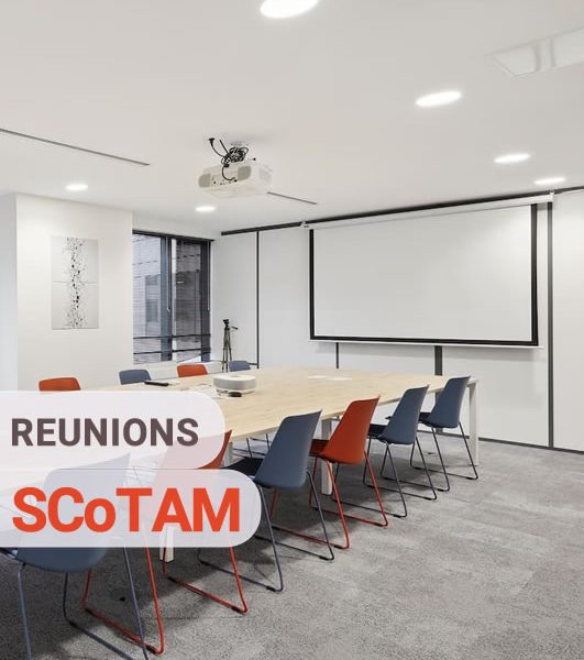 Les réunions du SCoTAM