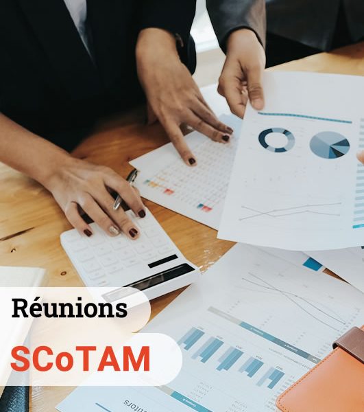 Les réunions du SCoTAM